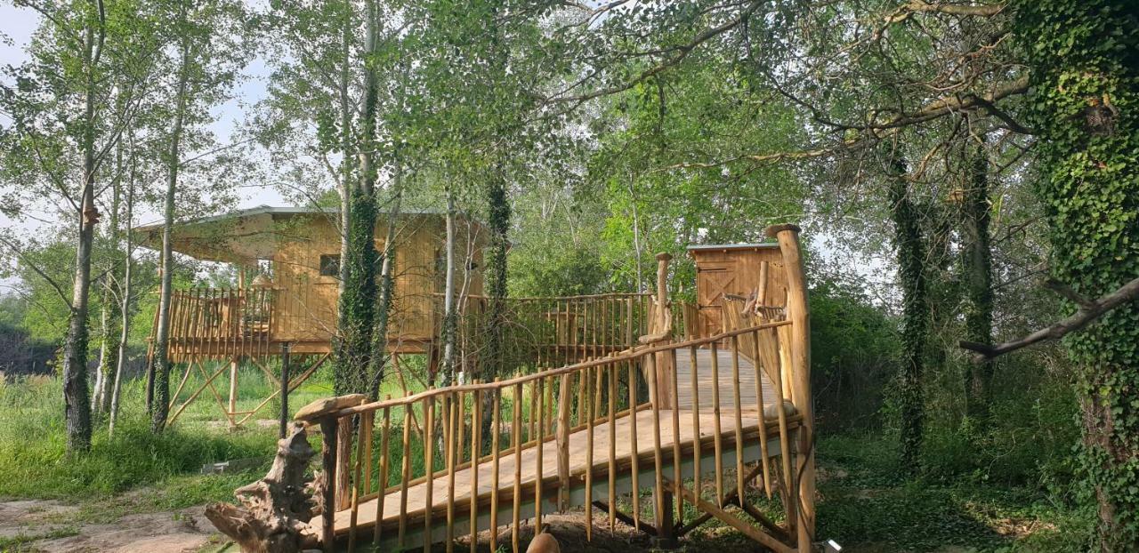 La Cabane Perchee Villelaure Екстер'єр фото